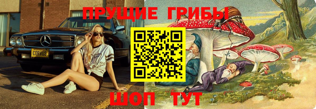 Галлюциногенные грибы ЛСД  Вход с VPN  Котельники  Галлюциногенные грибы Cubensis 