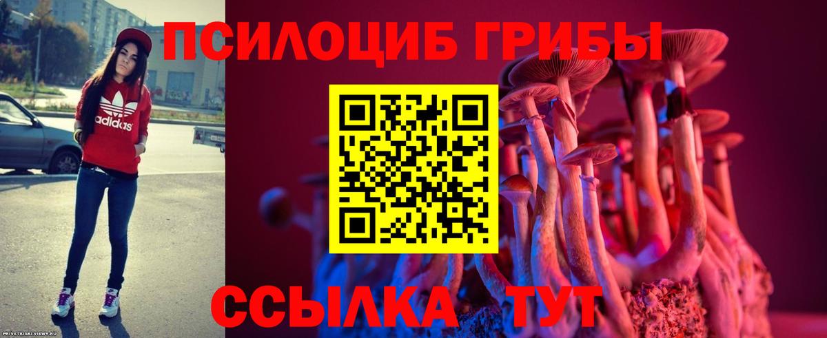 Псилоцибиновые грибы ЛСД Котельники
